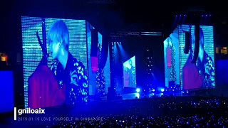 190119 BTS LOVE YOURSELF IN SINGAPORE - SINGULARITY (V'S SOLO)