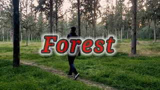 Documentary Short Film In Forest