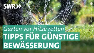 Hitze und Trockenheit im Garten: Mit diesen Tricks Gießwasser sparen | Marktcheck SWR