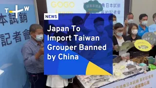 Japan To Import Taiwan Grouper Banned by China | TaiwanPlus News