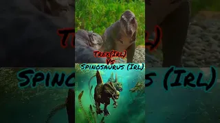 Tyrannosaurus Rex(Irl) VS Spinosaurus(Irl) with Proof!/100% Accurate