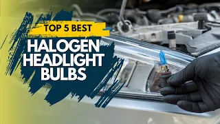 Best Halogen Headlight Bulbs 2024 🔥 Top 5 Best Halogen Headlight Bulbs Review