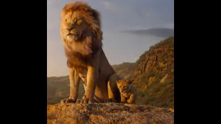 The Lion King - Best Scenes