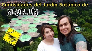 MEDELLÍN: No Podras Creer lo que Encontramos en Medio de la Ciudad