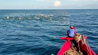 PURSE SEINE, Turns Out This Is How Fishermen Catch Fish In The Sea