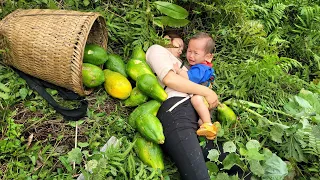 Single mother: Harvesting papaya to sell - unfortunately fell - built a bamboo duck coop