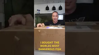 I BOUGHT THE WORLD'S MOST DANGEROUS FISH!!! Part 1