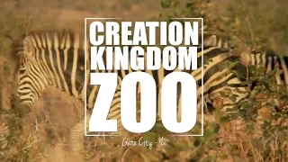 Creation Happened: Creation Kingdom Zoo