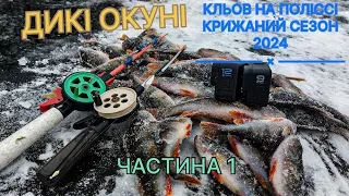 ПРОДУЛО НАСКРІЗЬ… Ловля поліського окуня на мормишку 2024