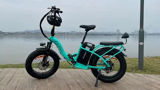 20% Off  SALE 32Ah big battery Wildeway electric bike long range High performance #ebike#newyear