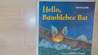 Hello, Bumblebee Bat - Read Aloud