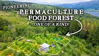 Incredible Permaculture Food Forest Project in Breathtaking Landscape
