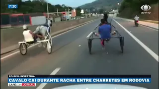SP: Cavalo cai em rodovia durante racha de charretes