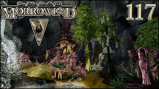 Morrowind Tamriel Rebuilt ► Тайное святилище (Emmurbalpitu), #57 (117)