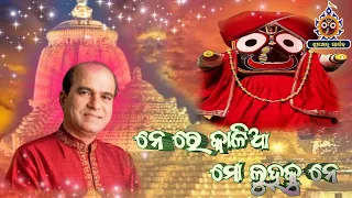 Ne Re Kalia Mo Luhaku Ne।Odia Jagannath Bhajan ।Suresh Wadekar