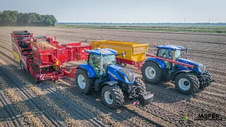 Uien Laden | Grimme SE 150-60