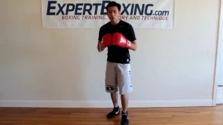 Boxing Stances and Style Explained