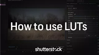 Color Grading 101: How to Use LUTs | Video Editing Tutorials