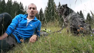 Alla scoperta dell'Alpe Cimbra Millegrobbe Forte Luserna malga Campo escursione anello Trentino