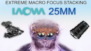 Extreme Macro Focus Stacking Tutorial | Laowa 25mm | Settings & easy to follow steps