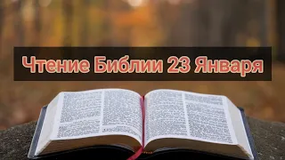 Ежедневное Чтение Библии 23 Января: Псалом 23, От  Матвея 24, Бытие 45, 46