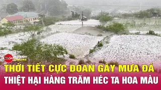 Bản tin tối ngày 25/4: Vì sao Sơn La, Hòa Bình hứng mưa đá khốc liệt? | Tin24h
