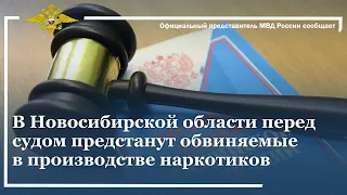 Ирина Волк: В Новосибирской области перед судом предстанут обвиняемые в производстве наркотиков