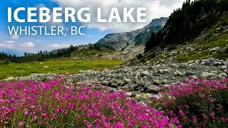 Breathtaking Forest & Alpine Hike to Iceberg Lake in Whistler,  BC Canada