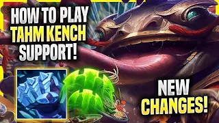 LEARN HOW TO PLAY TAHM KENCH SUPPORT LIKE A PRO! - Challenger Plays Tahm Kench SUPPORT vs Lulu!