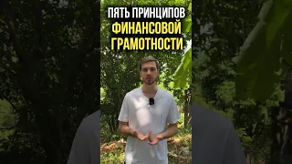 ПЯТЬ ПРИНЦИПОВ ФИНАНСОВОЙ ГРАМОТНОСТИ!