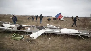 Horrifying final moments of MH17 passengers as the plane exploded in the sky