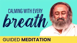 Experience Calm with Every Breath! Guided Meditation | Gurudev