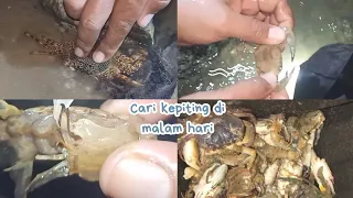 nyolo kepiting di pantai#MDRCHANNEL95