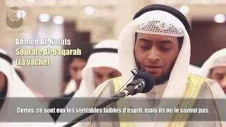 1 Ramadan 1437 | Ahmed Al-Nufais (أحمد النفيس) | Sourate Al Baqarah (1-33).