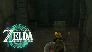 A Very Rare Chest under the Floating Hyrule Castle