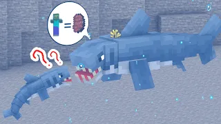 Monster School : The Angry Shark - Minecraft Animation