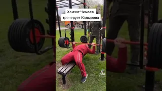 Хамзат Чимаев тренирует Рамзана Кадырова