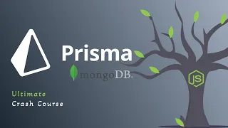 The Ultimate Prisma Guide: Unleashing MongoDB and Node.js Magic | Comprehensive Crash Course