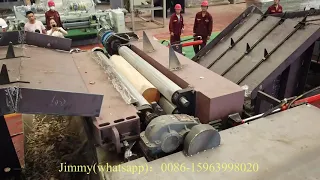 5ft veneer peeling line /wood cutting and peeling line -- Jimmy (whatsapp): 0086-15963998020