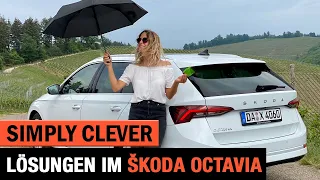 Skoda Octavia (2020) - Die Simply Clever Lösungen im Test 💡 Review | Anhängerkupplung | Kofferraum