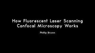 How Fluorescent Laser Scanning Confocal Microscopy Works