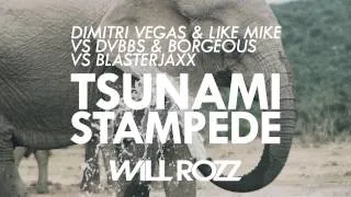 Dimitri Vegas & Like Mike vs. DVBBS & Borgeous vs. Blasterjaxx - Tsunami Stampede (Will Rozz Mashup)