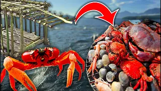 Island Crab Fishing Catch, Clean, & Cook | Primitive Bushcraft Crab Trap Build