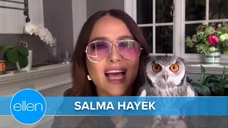 Salma Hayek's Pet Owl Coughed Up a Hairball on Harry Styles