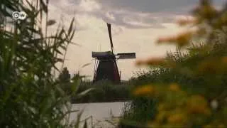 Going Dutch | Euromaxx