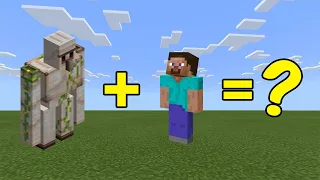 I Combined an Iron Golem and Steve in Minecraft - Here's WHAT Happened...