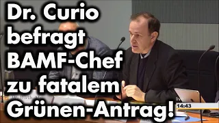 Dr. Curio befragt Bamf-Chef Sommer zu Grünen-Antrag