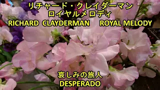 音楽大好き　リチャード・クレイダーマン　ロイヤルメロディ「哀しみの旅人」　　I LOVE MUSIC   RICHARD CLAYDERMAN 「DESPERADO」