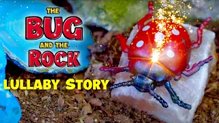 The Bug and the Rock - Leon Mitchell