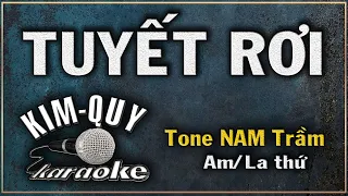 TUYẾT RƠI ( Tombe La Neige ) - KARAOKE (Rumba) - Tone NAM Trầm ( Am/La Thứ )